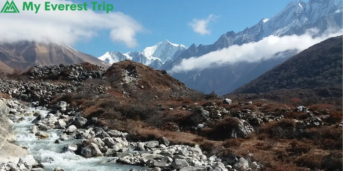 Tamang Heritage Trekking