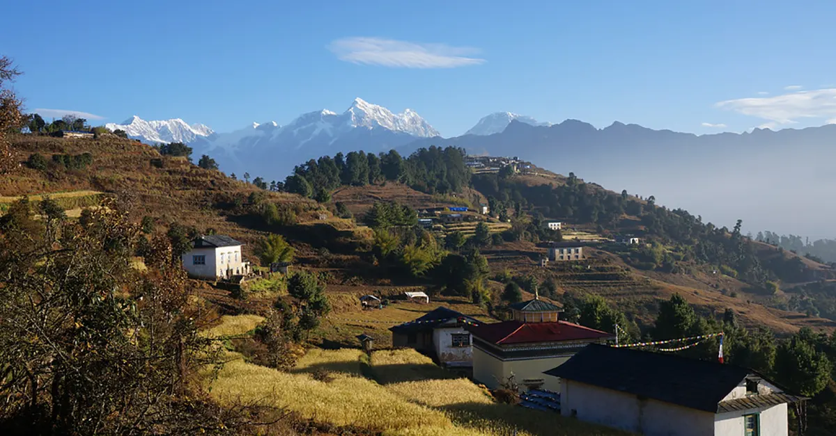 Trail to Pikey Peak Summit